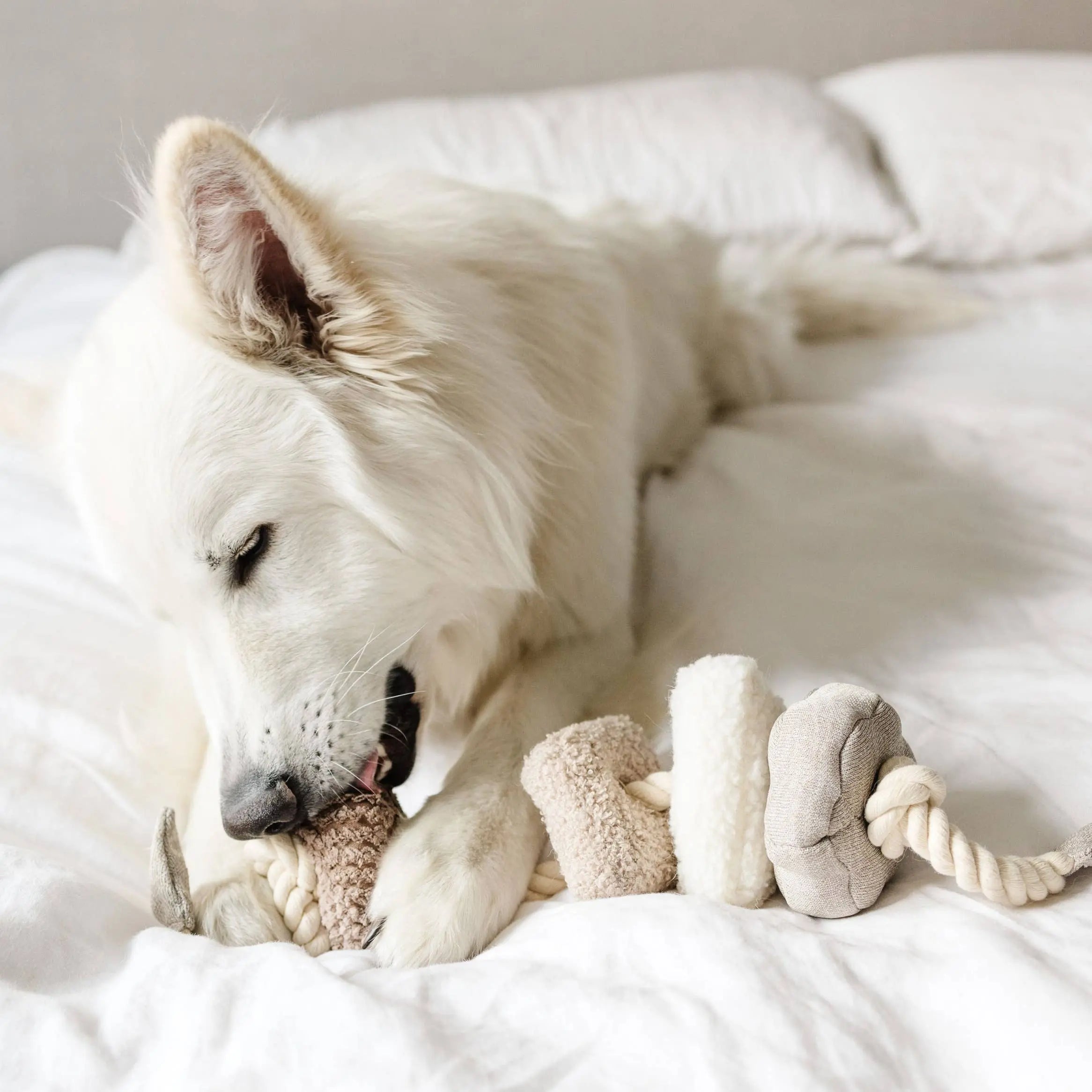 BLOCS //Enrichment Toy Lambwolf
