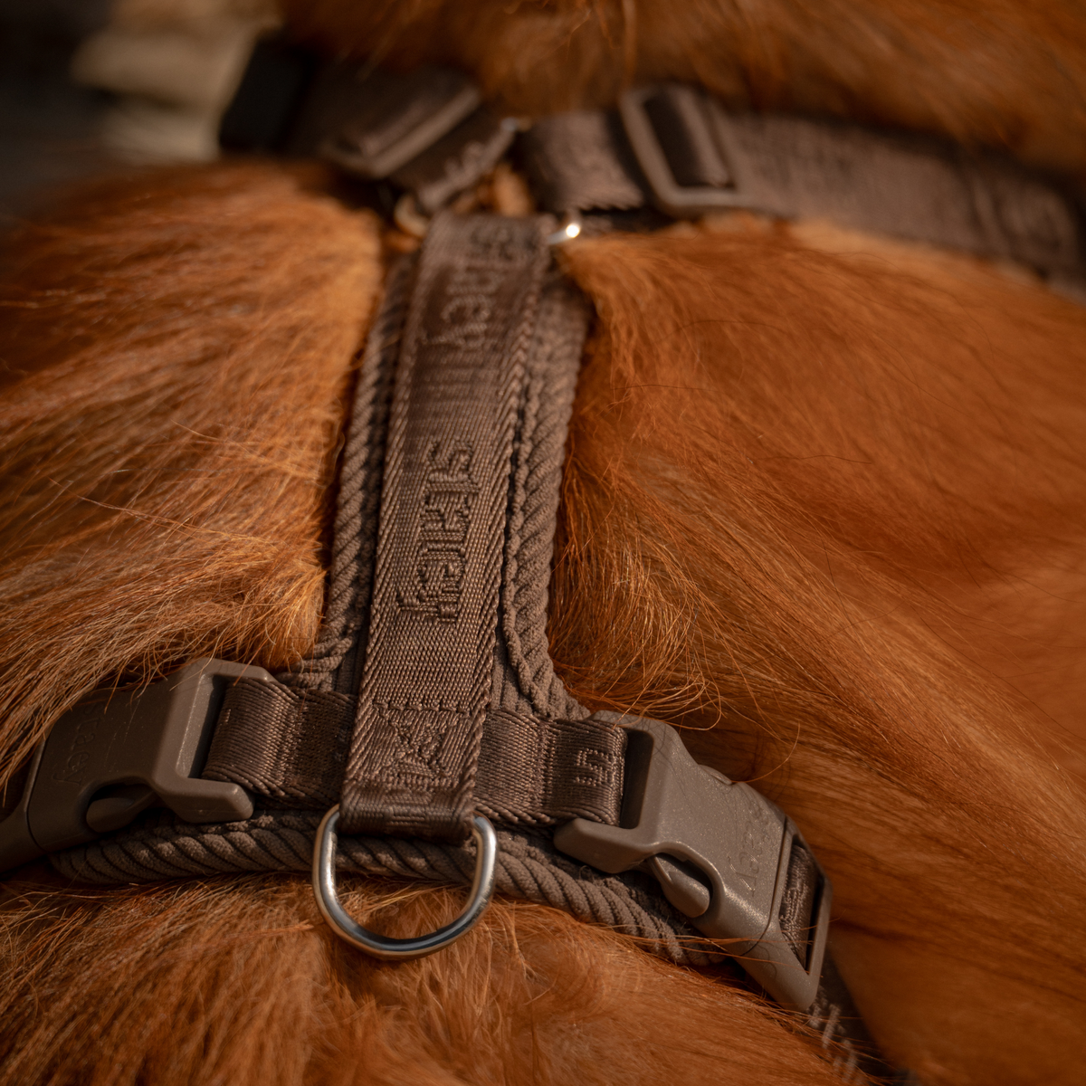 Numa Dog Harness | Dark Oak – Lekkie szelki dla psa
