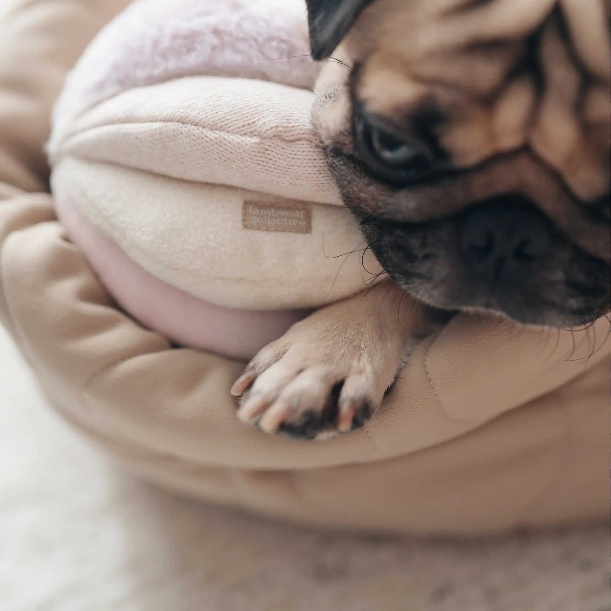 TOTO //Enrichment Toy : Pink Lambwolf