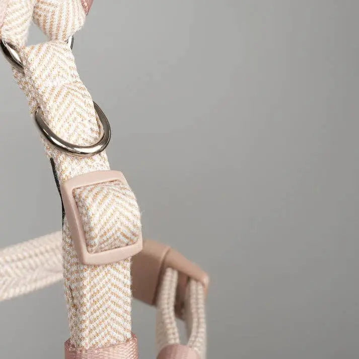 Tara H-Strap Dog Harness | Light Rose