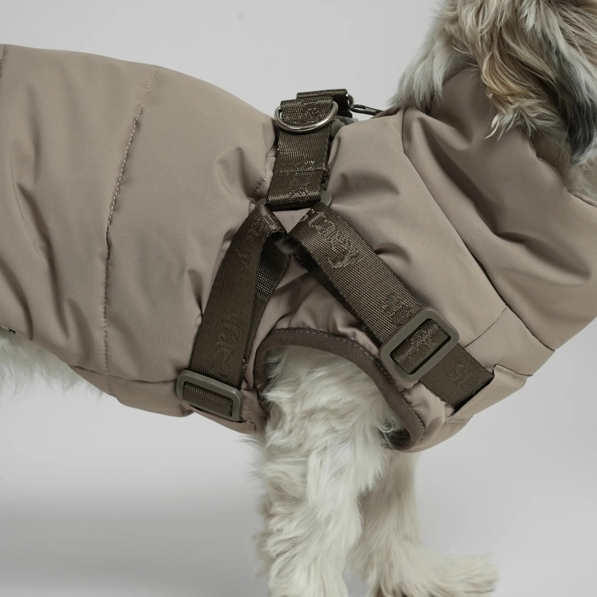 Vera Dog Coat with Harness | Sand: XS Staey