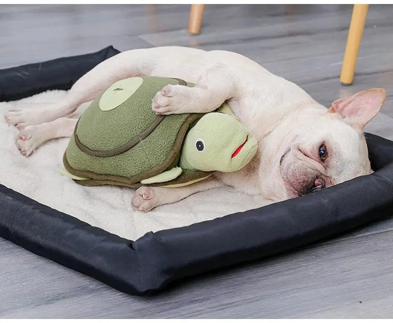 DOGLEMI Zabawka węchowa ŻÓŁW Doglemi