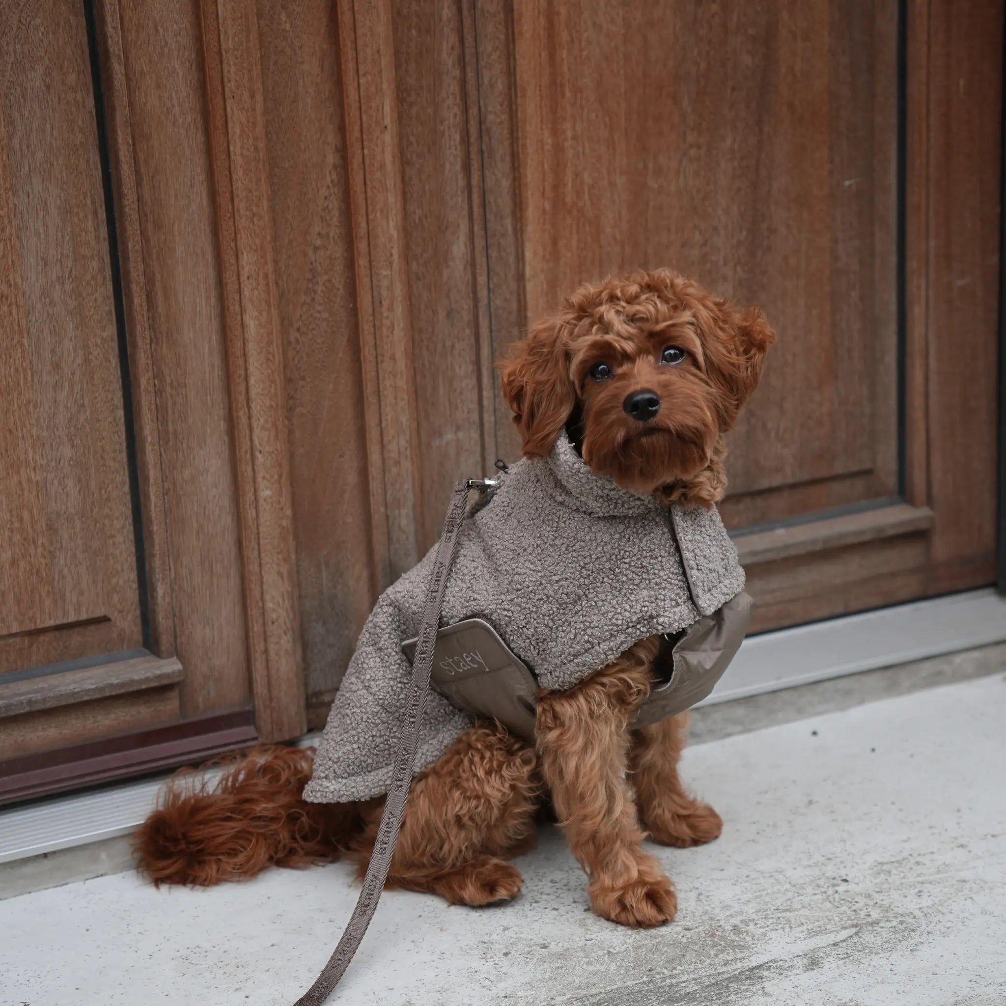 Dog Coat Teddy | Taupe: XL Staey