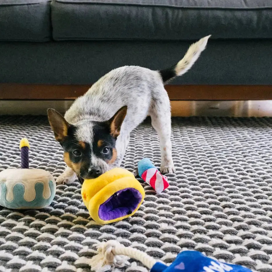 P.L.A.Y Mini Party Time Canine Crown Zabawka dla psa P.L.A.Y