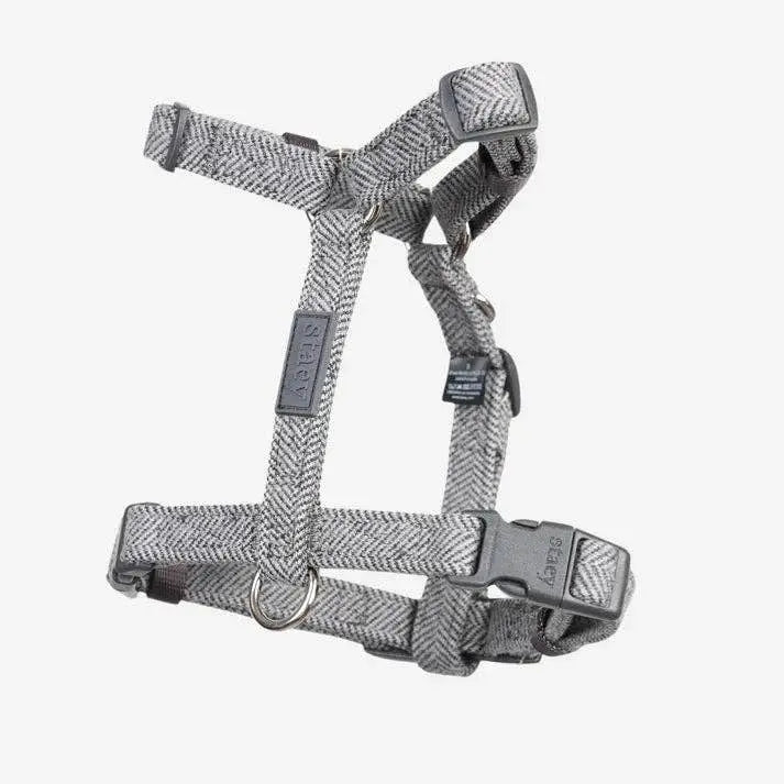 Tara H-Strap Dog Harness | Dusty Blue: M