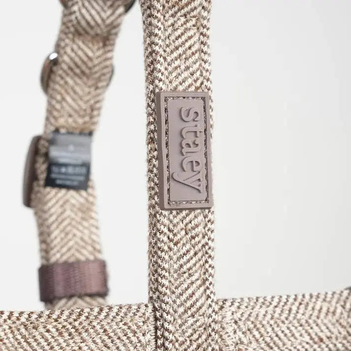 Tara H-Strap Dog Harness | Mocha