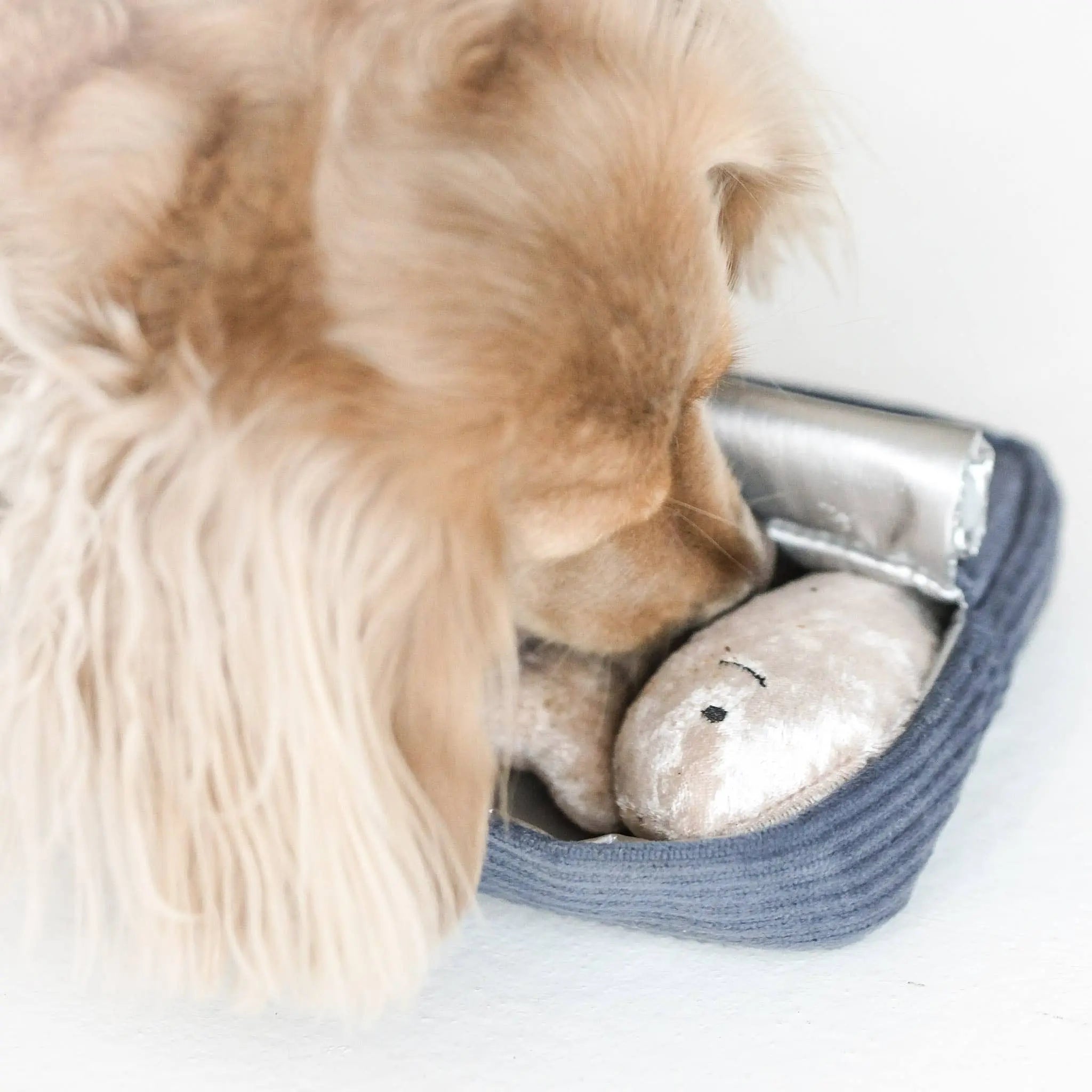 SARDINES//Enrichment Toy Lambwolf EU