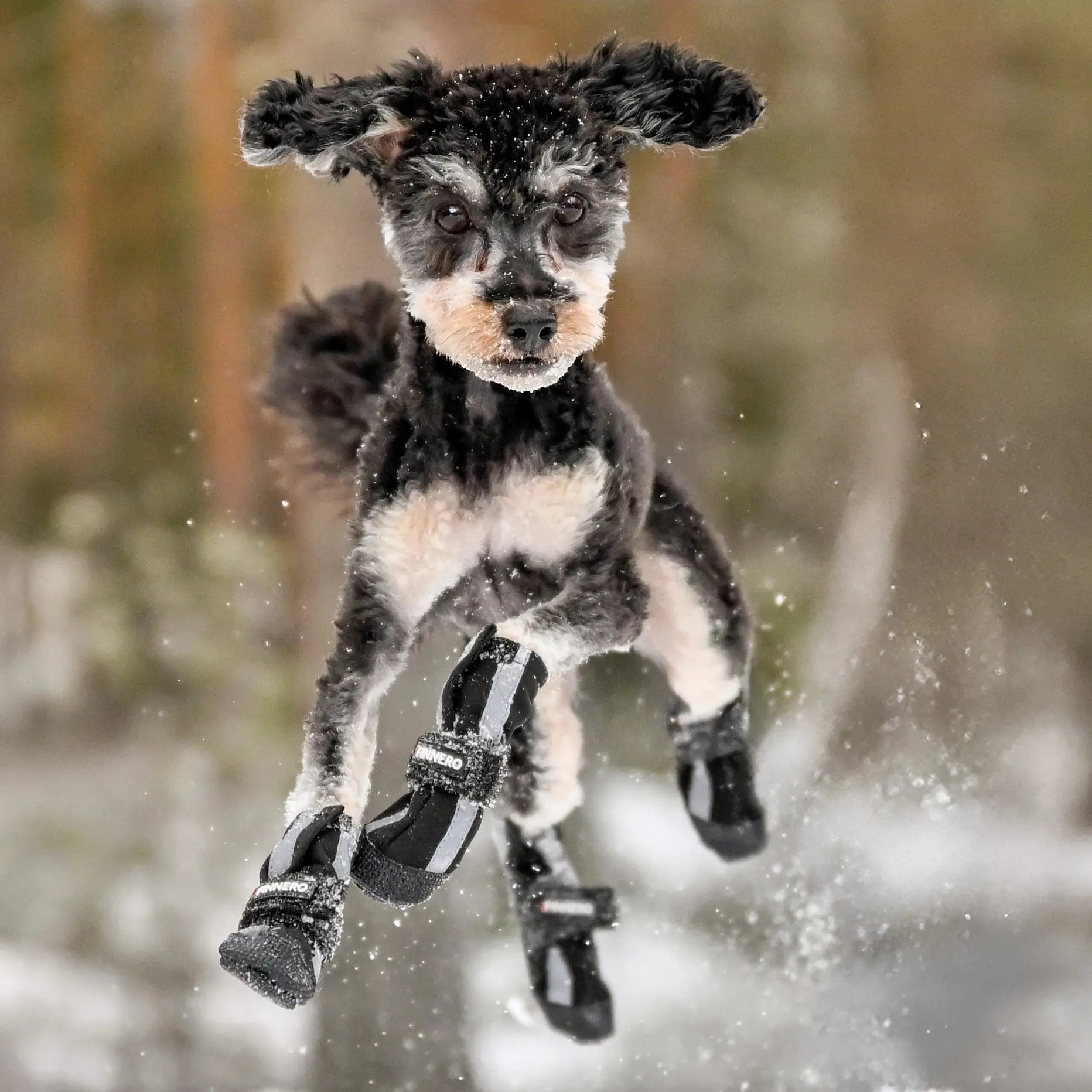 New: FINNERO Halla Softshell Dog Booties, 4 Pcs/Pack Black, XS