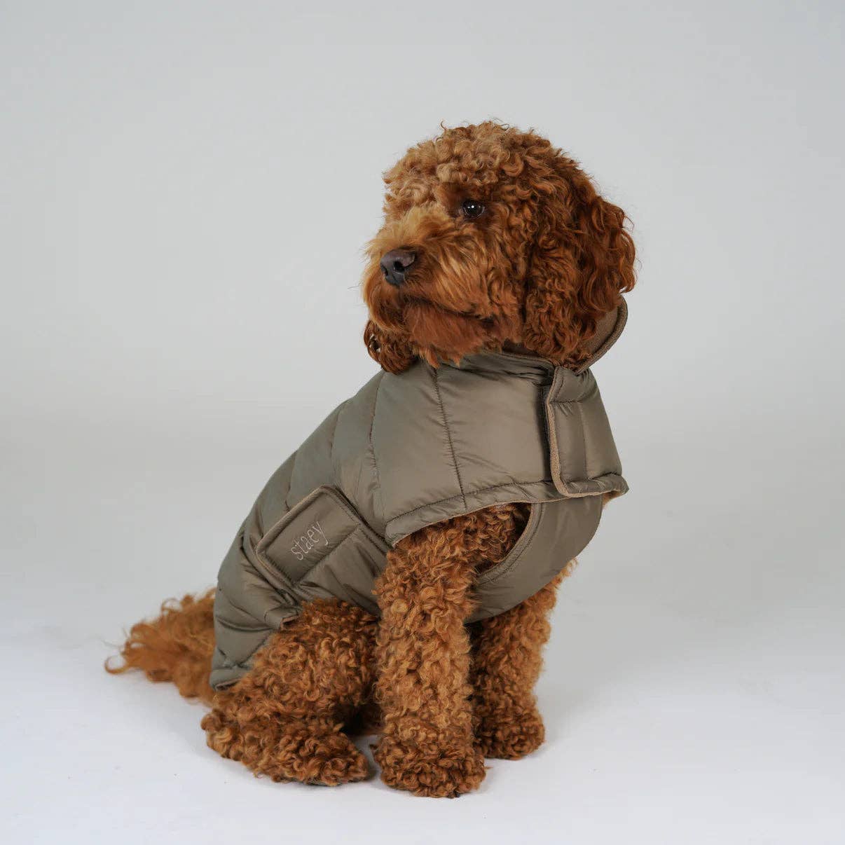 Nora Dog Coat | Taupe: XS Staey