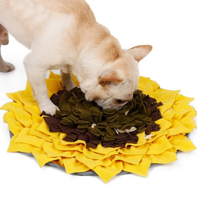 DOGLEMI Mata węchowa SUNFLOWER Doglemi