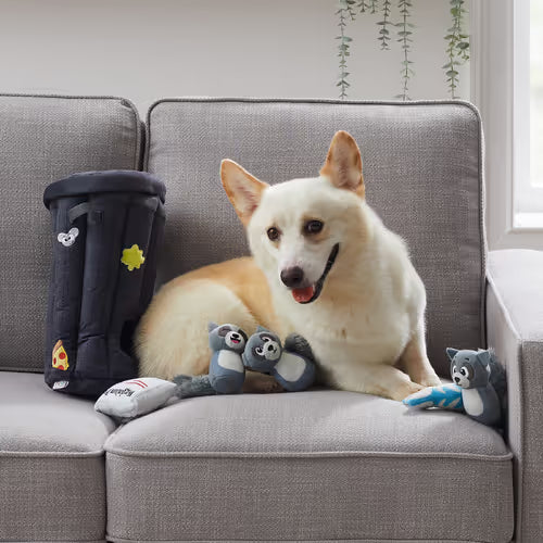 Outward Hound Hide A Raccoon Dog Toy Puzzle - pluszowa zabawka logiczna dla psa, szopy w śmietniku