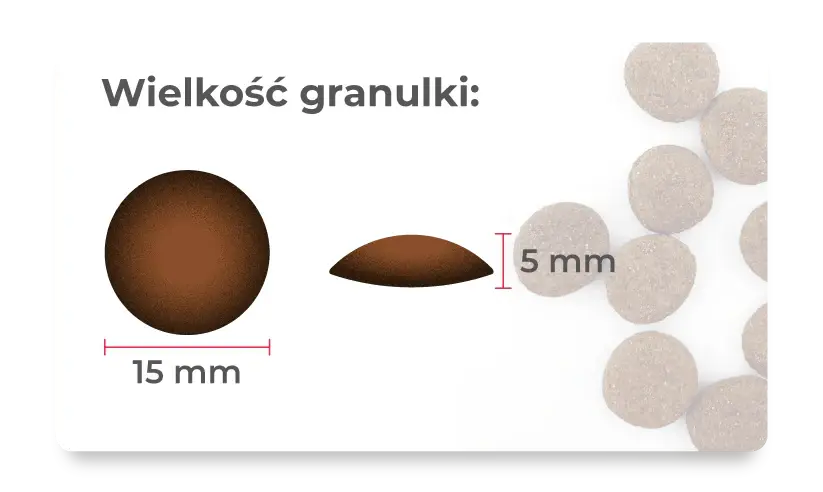Sucha karma dla psa Dziczyzna, żurawina i pestki dyni 9kg