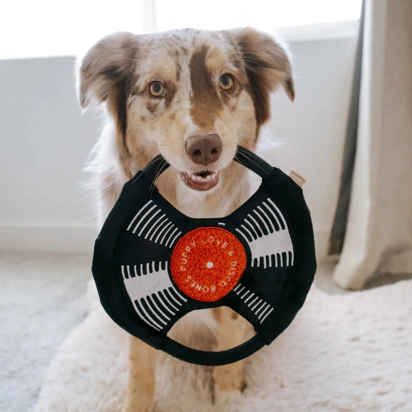 Bark To Beat tug + snuffle