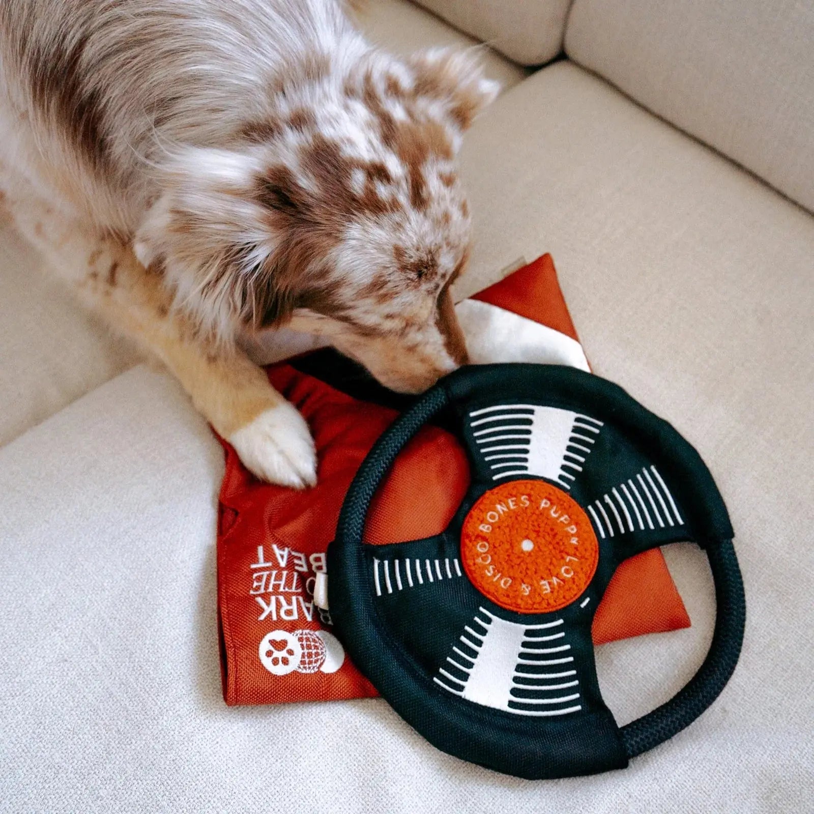 Bark To Beat tug + snuffle