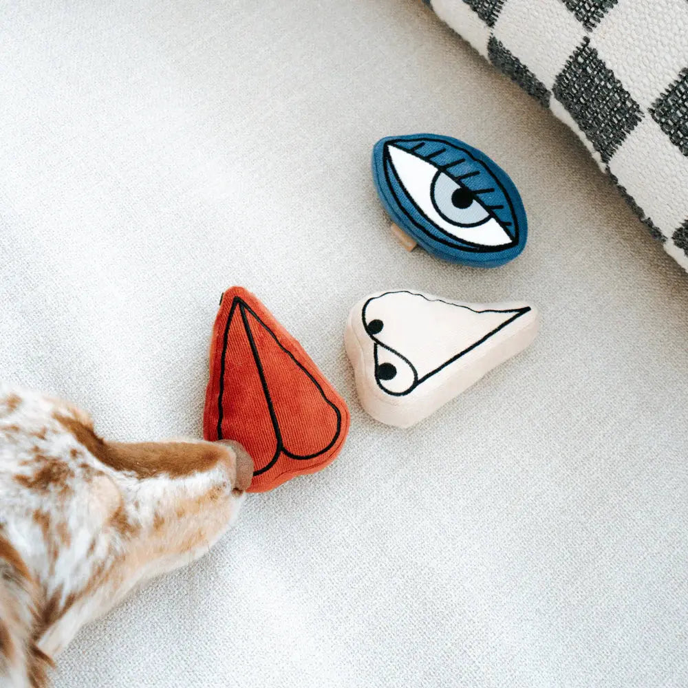 PICASSO snuffle + squeaky