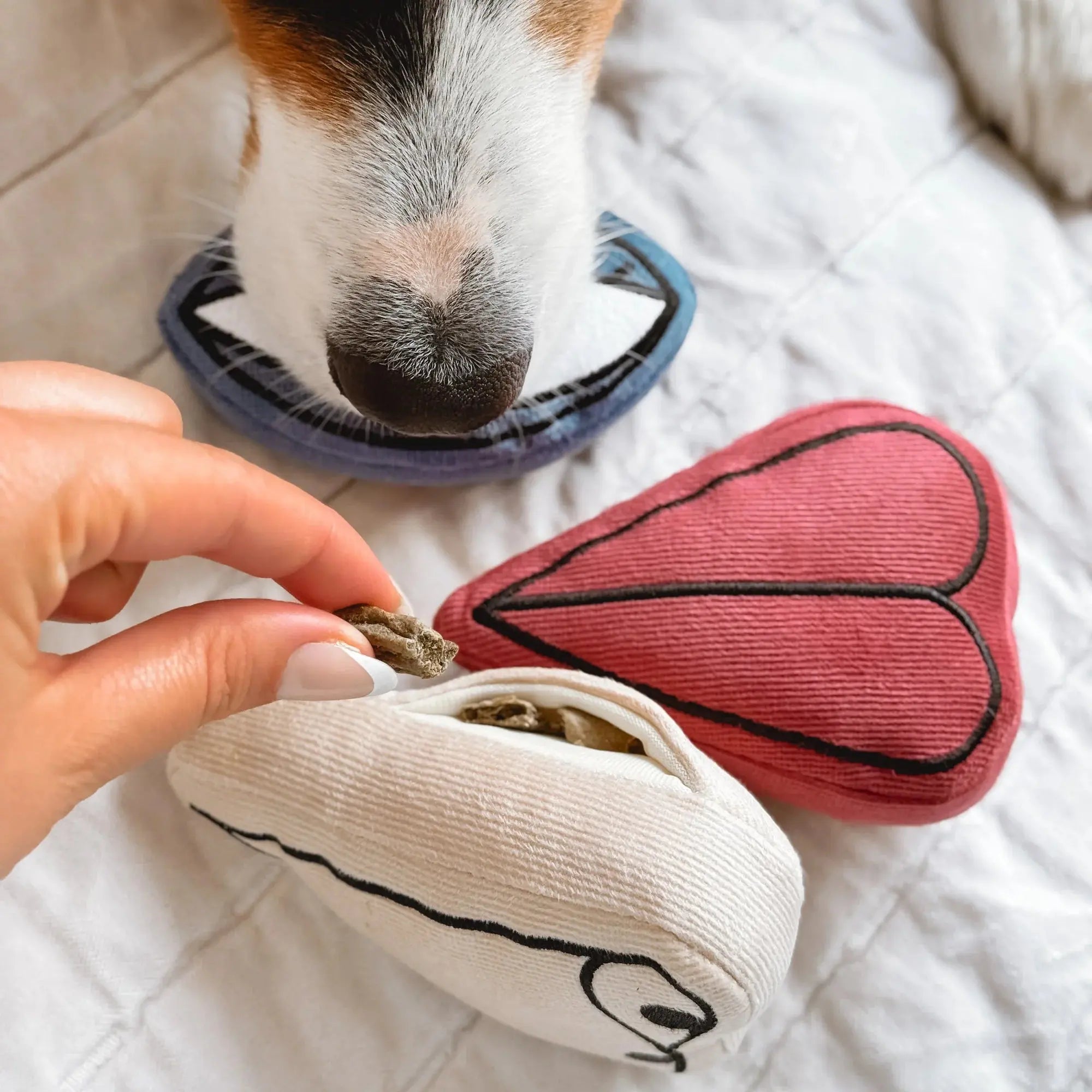 PICASSO snuffle + squeaky