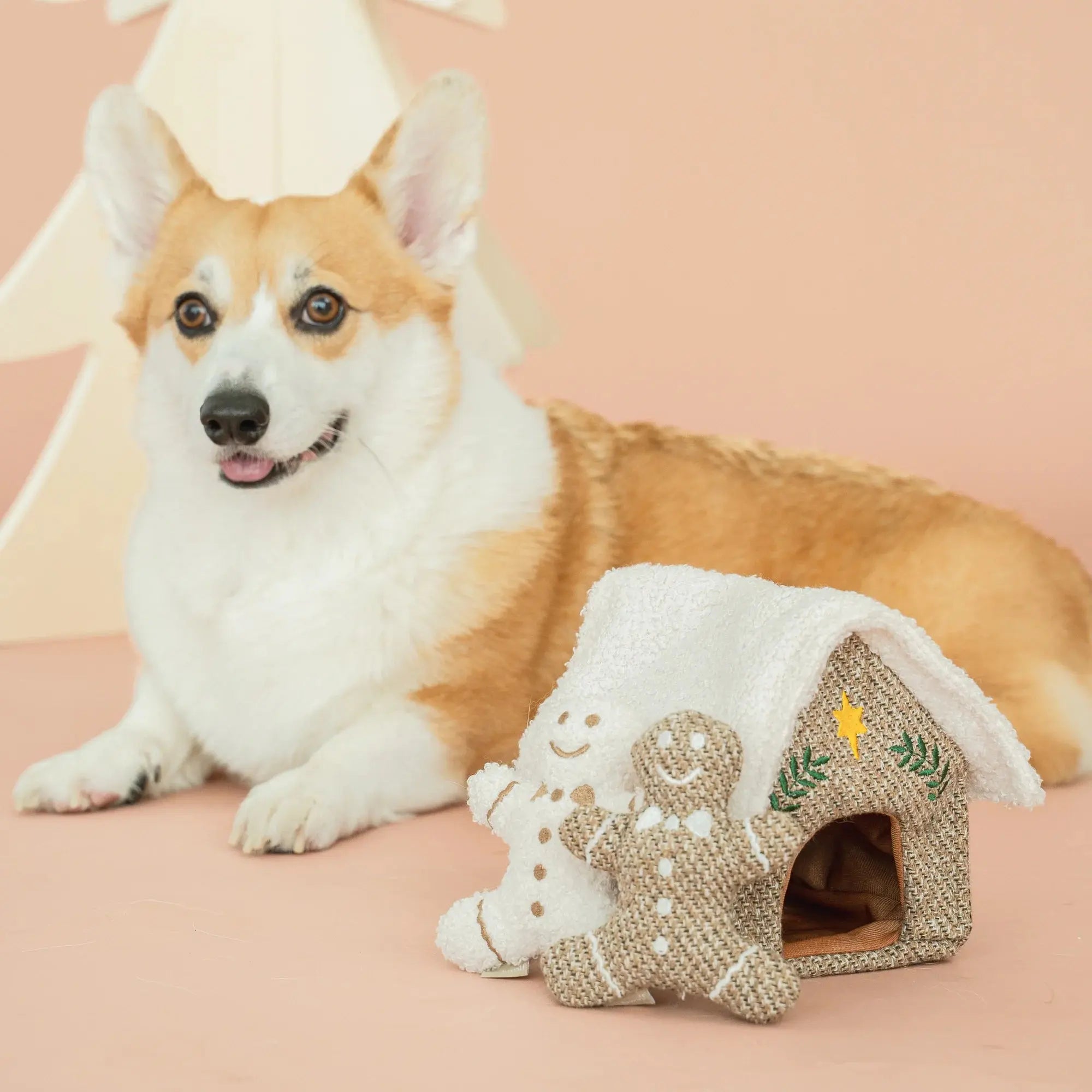 GINGERBREAD HOUSE burrow + nosework