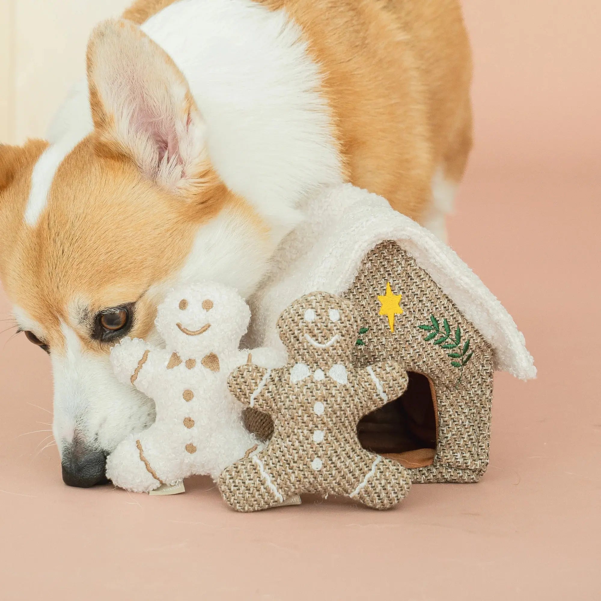 GINGERBREAD HOUSE burrow + nosework