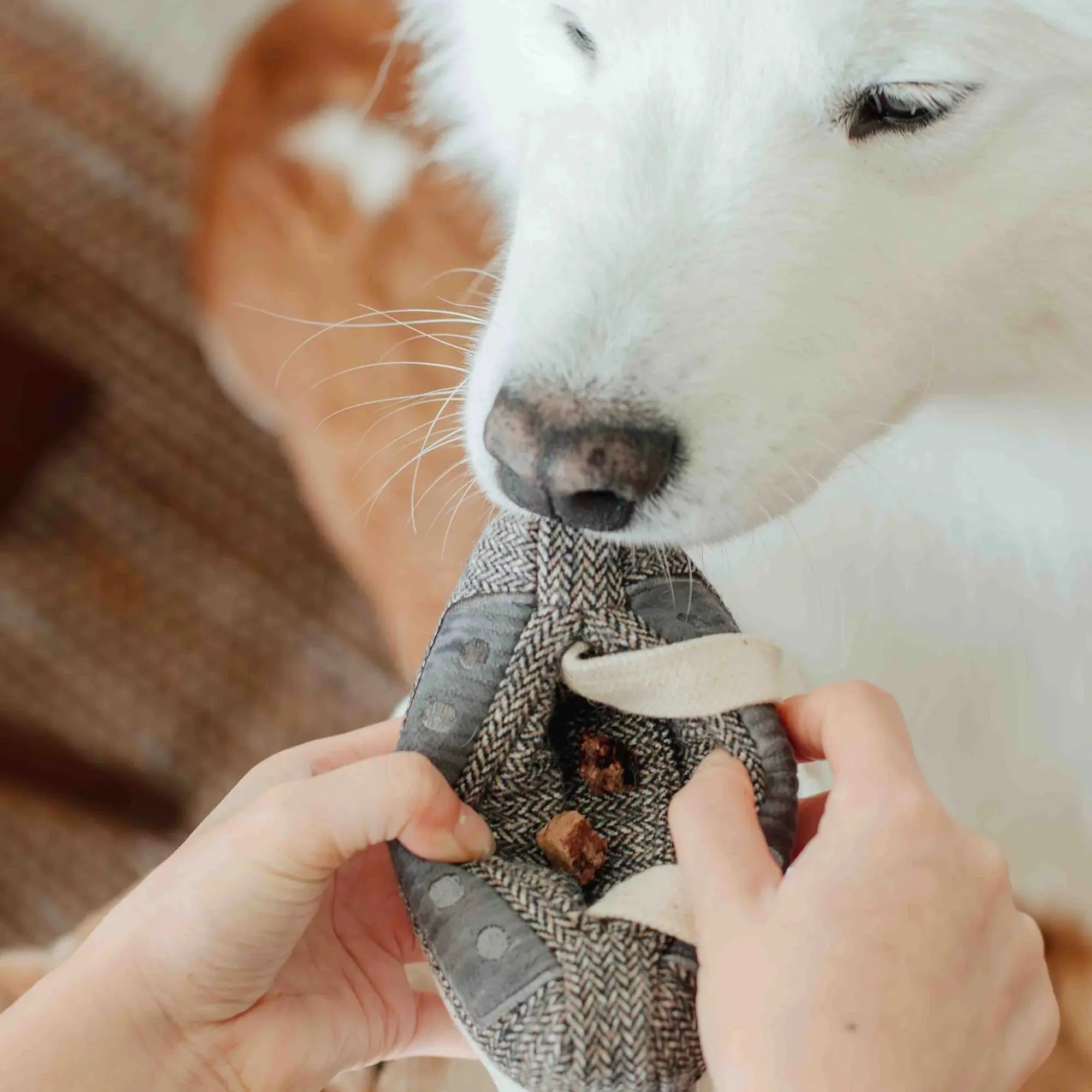 CASSETTE snuffle + squeaky
