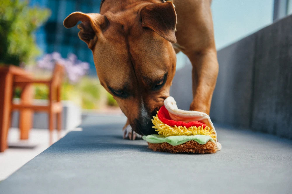 P.L.A.Y. Tail Waggin’ Taco – rozkładana zabawka pluszowa dla psa