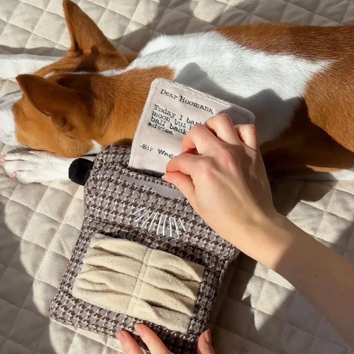 Typewriter snuffle + squeaky