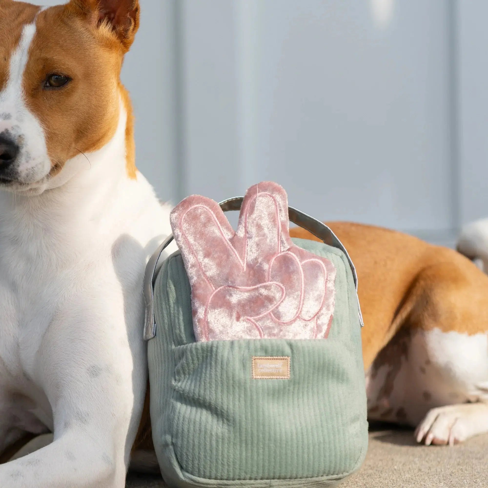 WOOF FM snuffle + squeaky