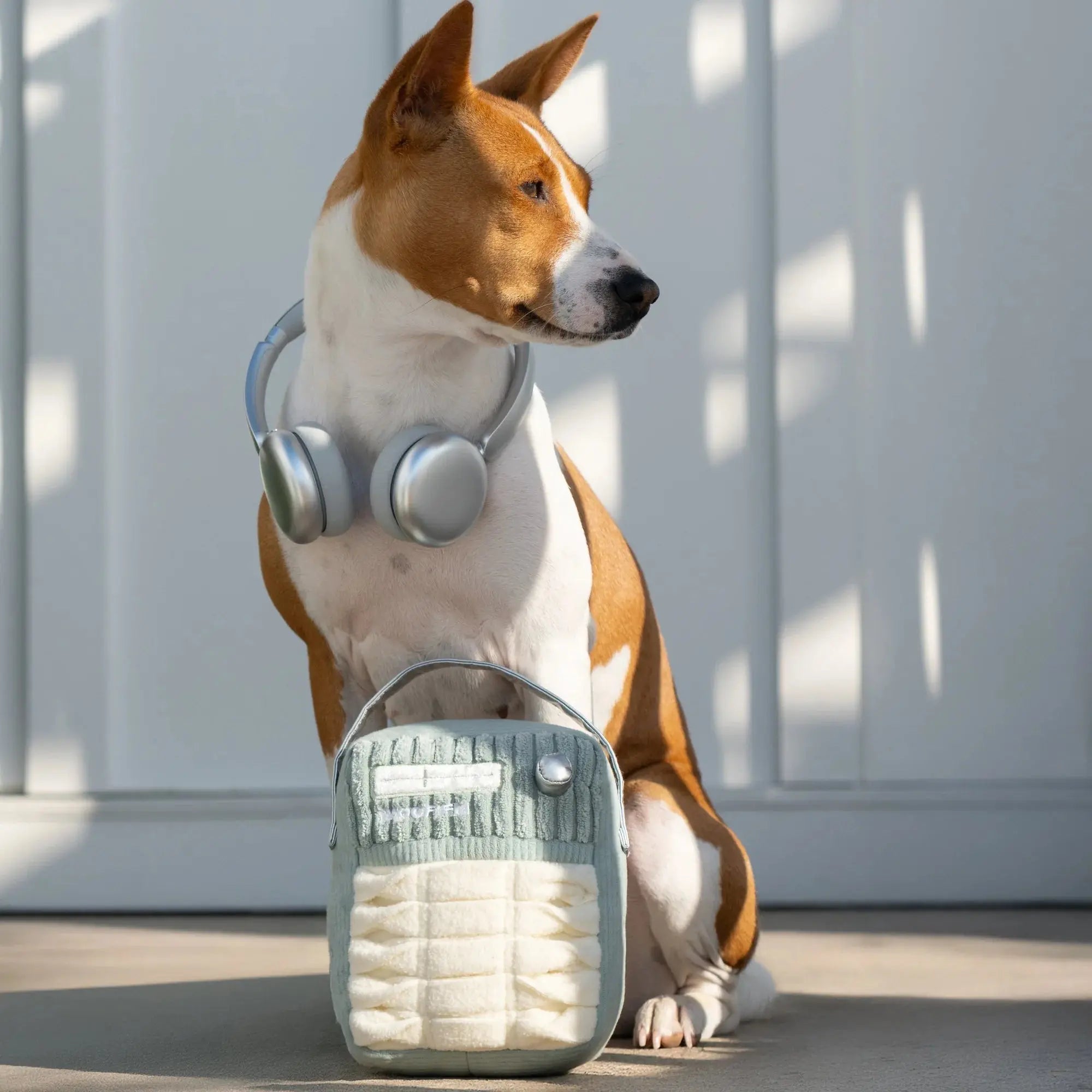 WOOF FM snuffle + squeaky