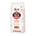 BRIT FRESH PUPPY LARGE BEEF&PUMPKIN 2,5kg karma sucha – packshot produktu na białym tle