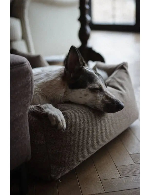 Lilo - legowisko ortopedyczne dla psa Sand Paws M