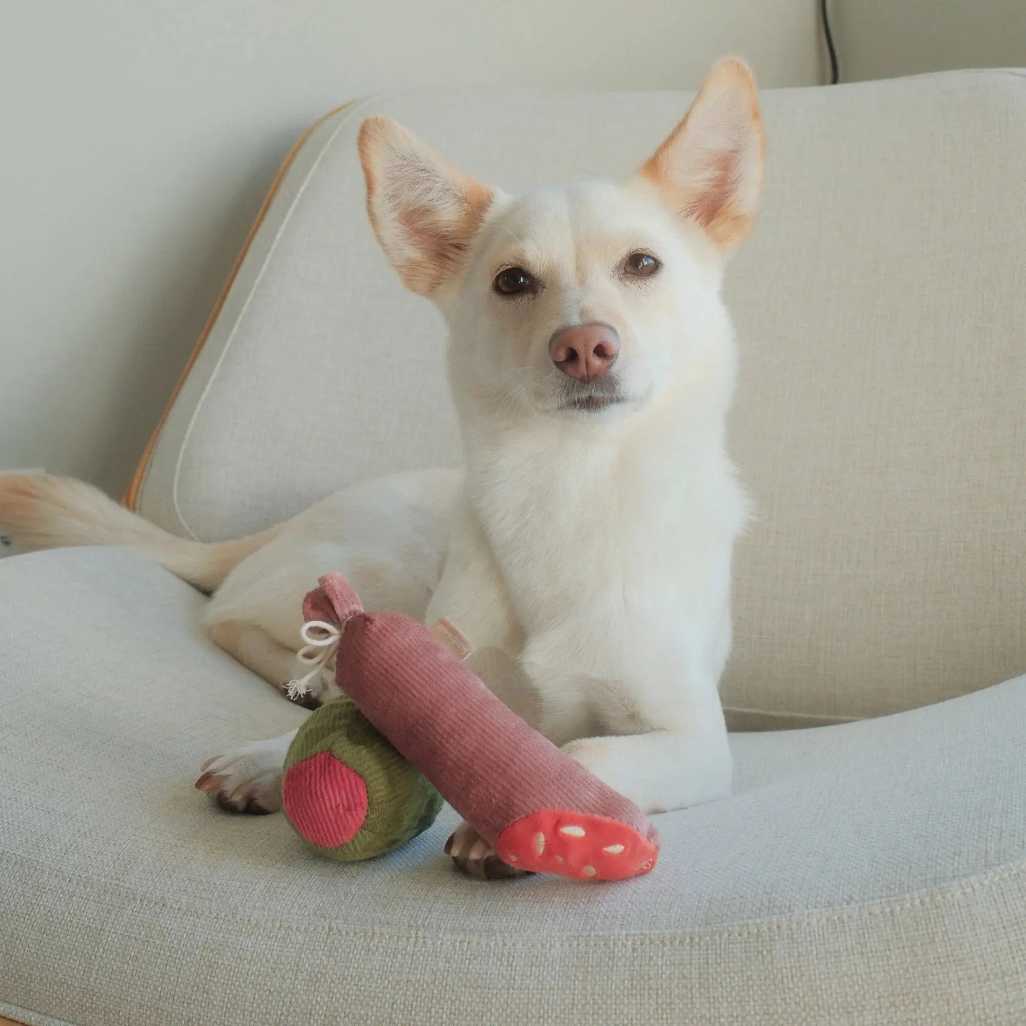 Olive + SALAMI squeaky