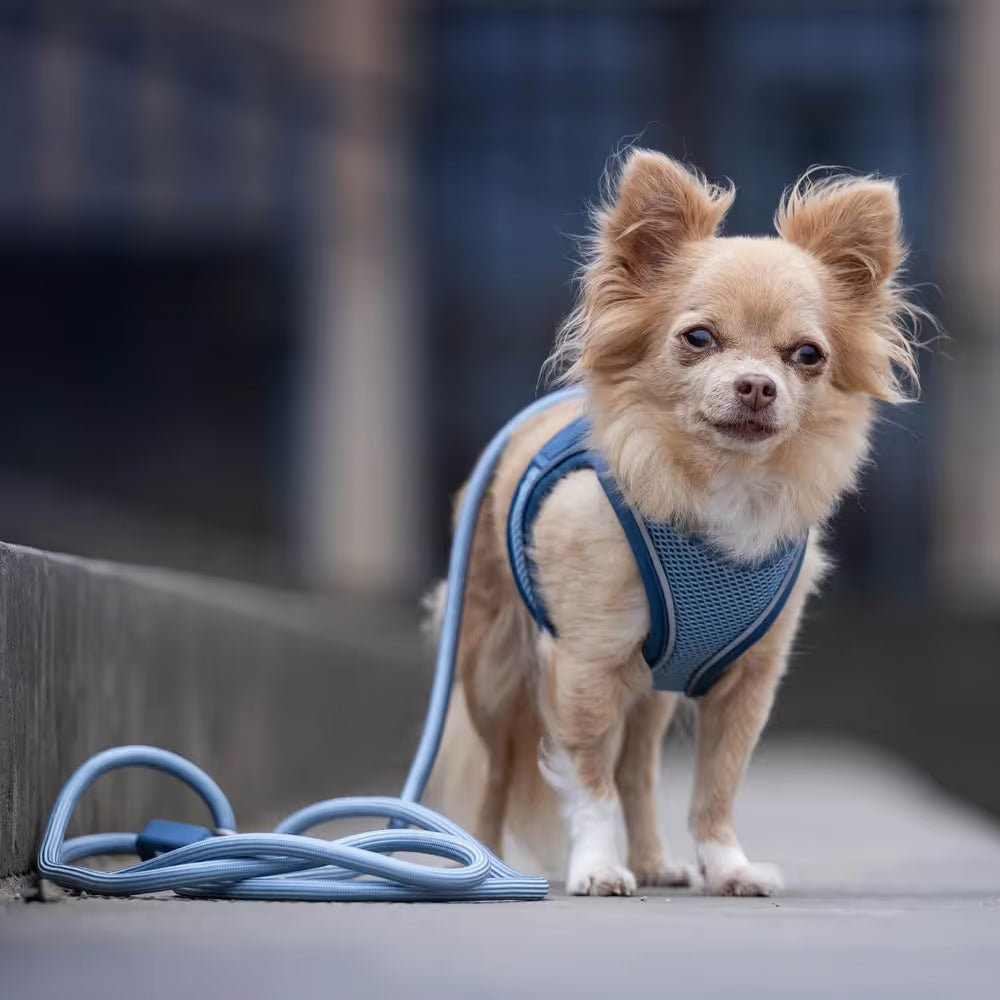 Max&Molly Rope Leash Matrix 2.0 200cm Black - przepinana smycz linowa dla psa, czarna Max&Molly