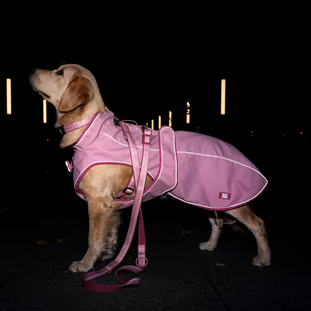 Max&Molly Raincoat for Dogs Matrix 2.0 Rose - kurtka dla psa, płaszcz przeciwdeszczowy, różowy - XXS Max&Molly