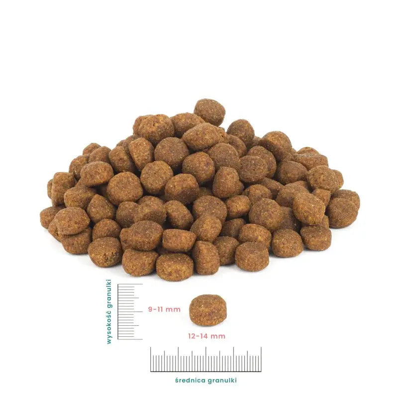 Karma sucha Cielęcina z batatami – bezzbożowa formuła dla psów dorosłych średnich i dużych ras 1kg Perro