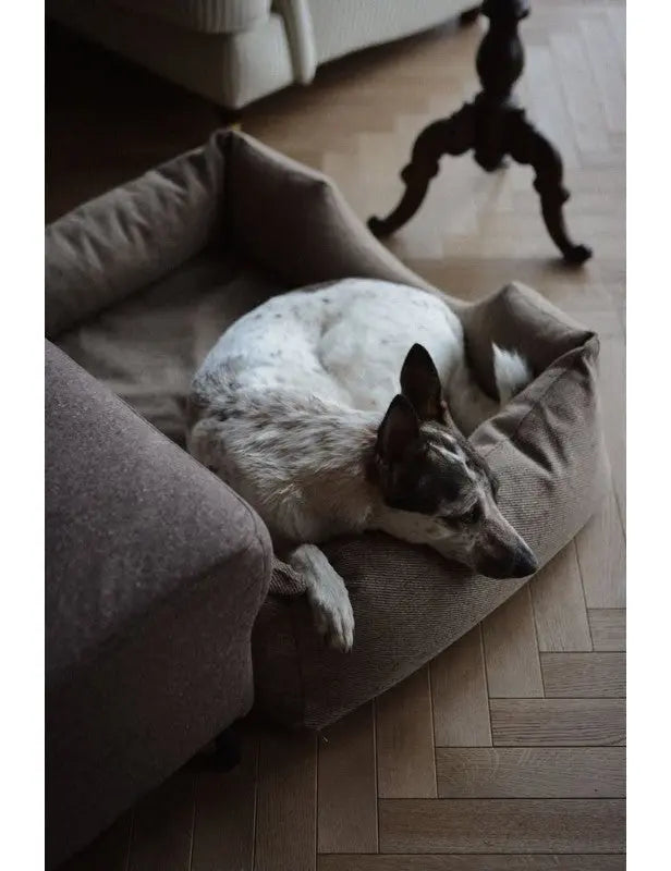 Lilo - legowisko ortopedyczne dla psa SandPaws S