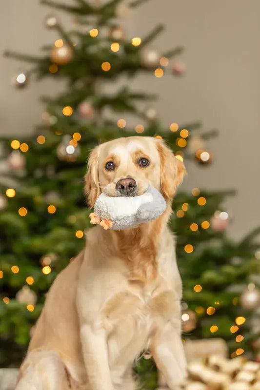 Trixie Xmas Pluszowa Sowa z Bawełnianą Linką 31 cm Trixie