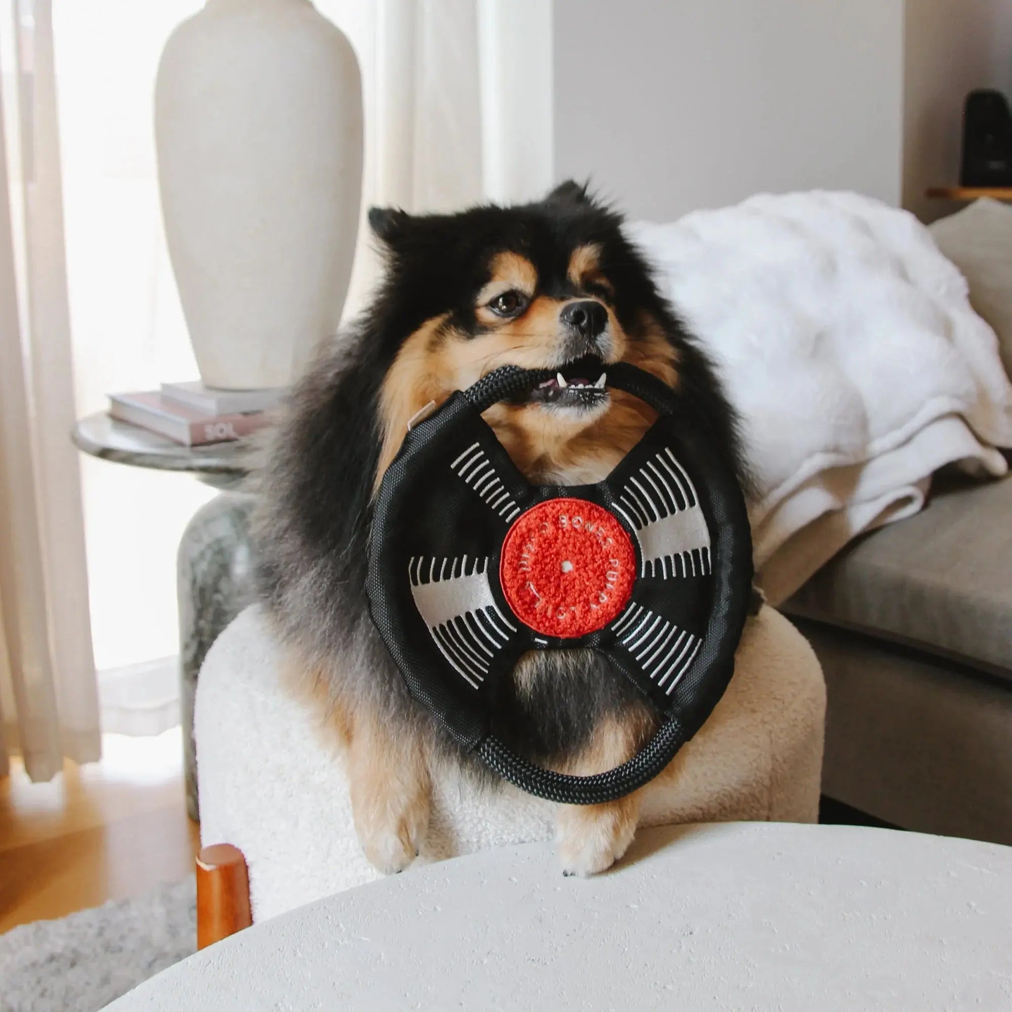 Bark To Beat tug + snuffle