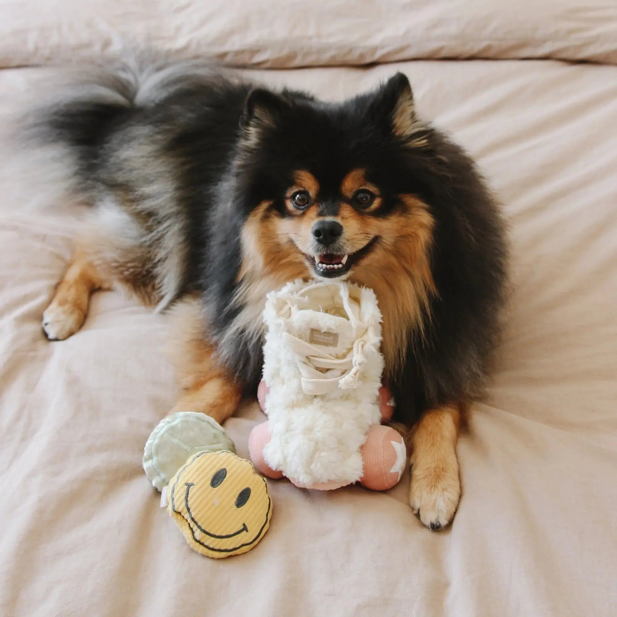 Roller Skate Burrow + Crinkle