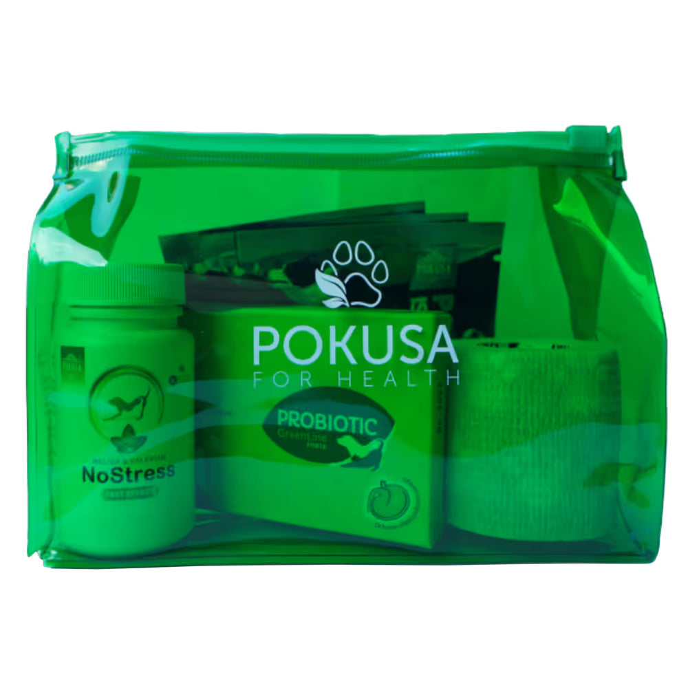 Pokusa First Aid Kit - apteczka dla psa, na wspólne podróże i wycieczki Pokusa For Health