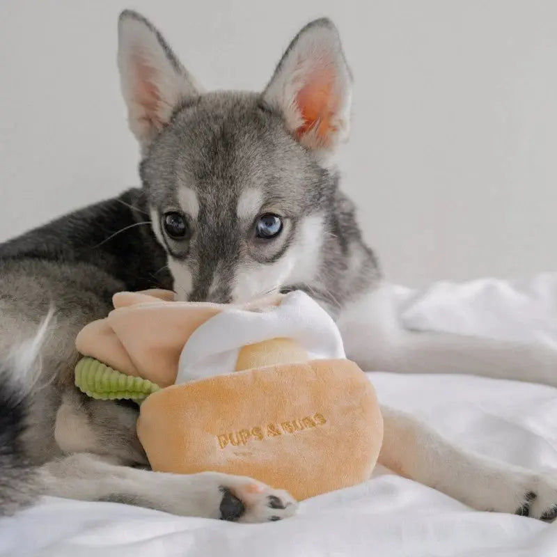 Pups & Bubs - PITA - Zabawka węchowa Pups & Bubs