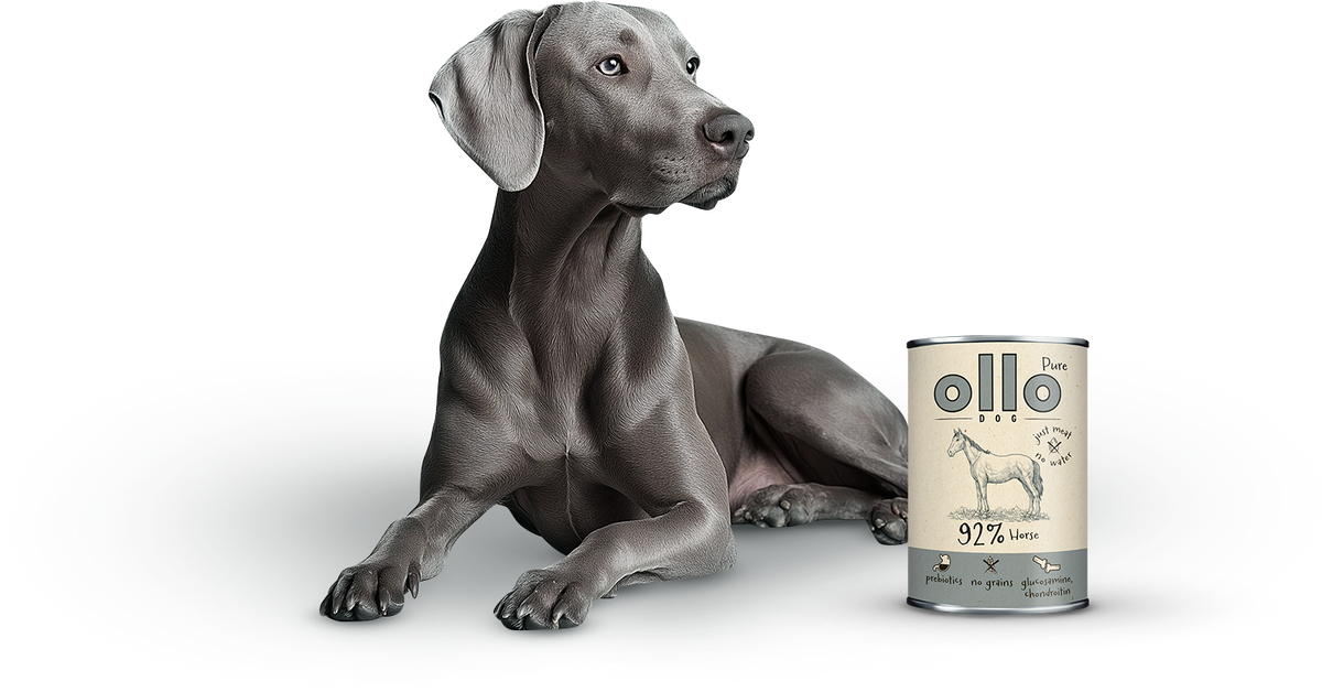 Ollo Pure Koń 400g
