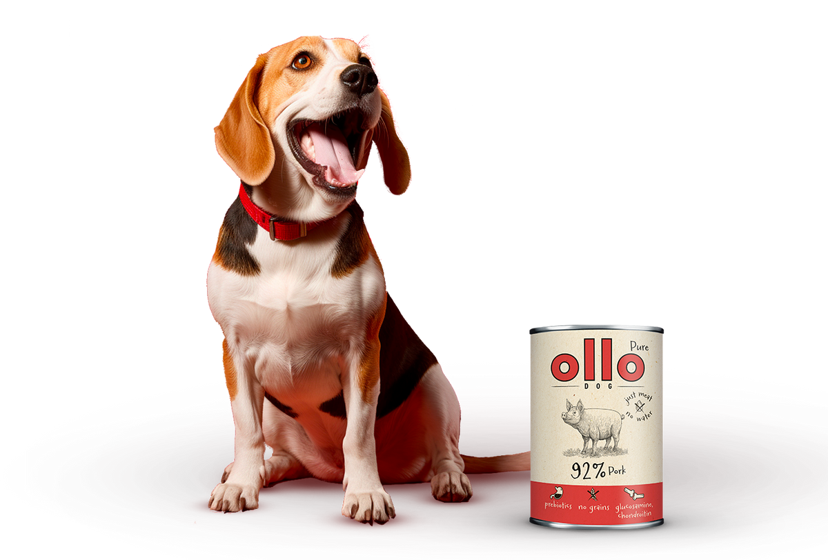 Ollo Pure Wieprzowina 400