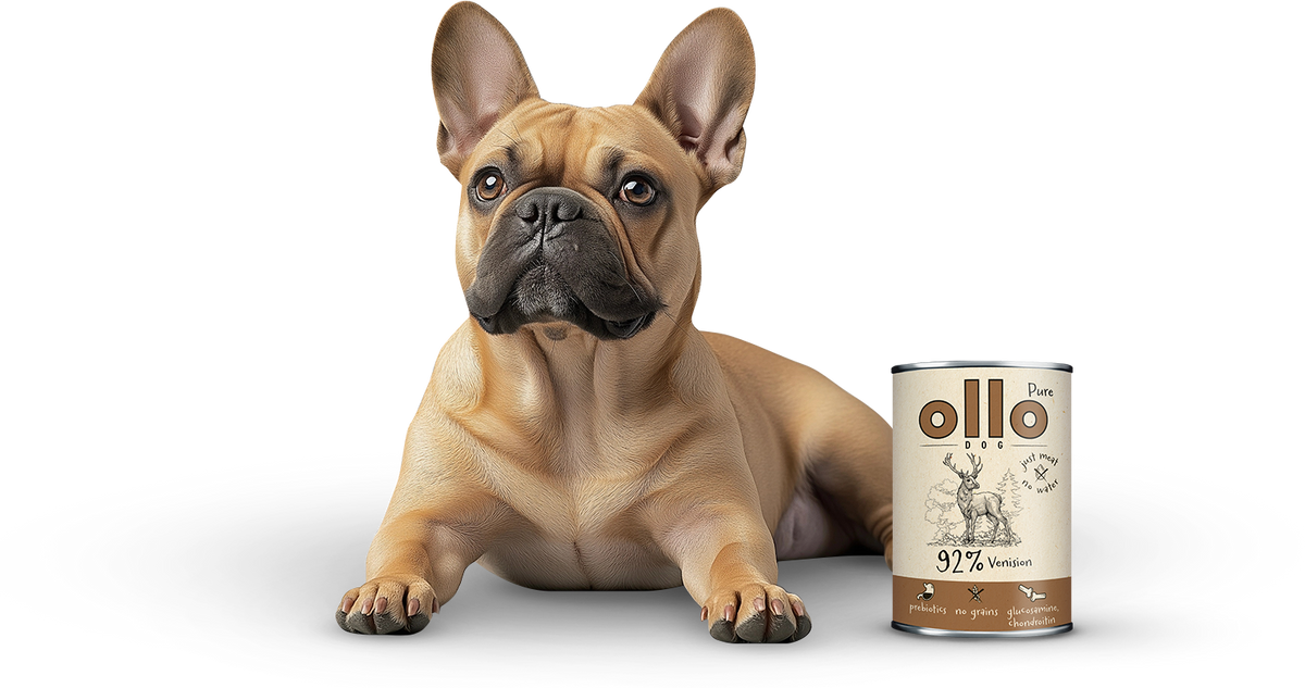 Ollo Pure Jeleń 400