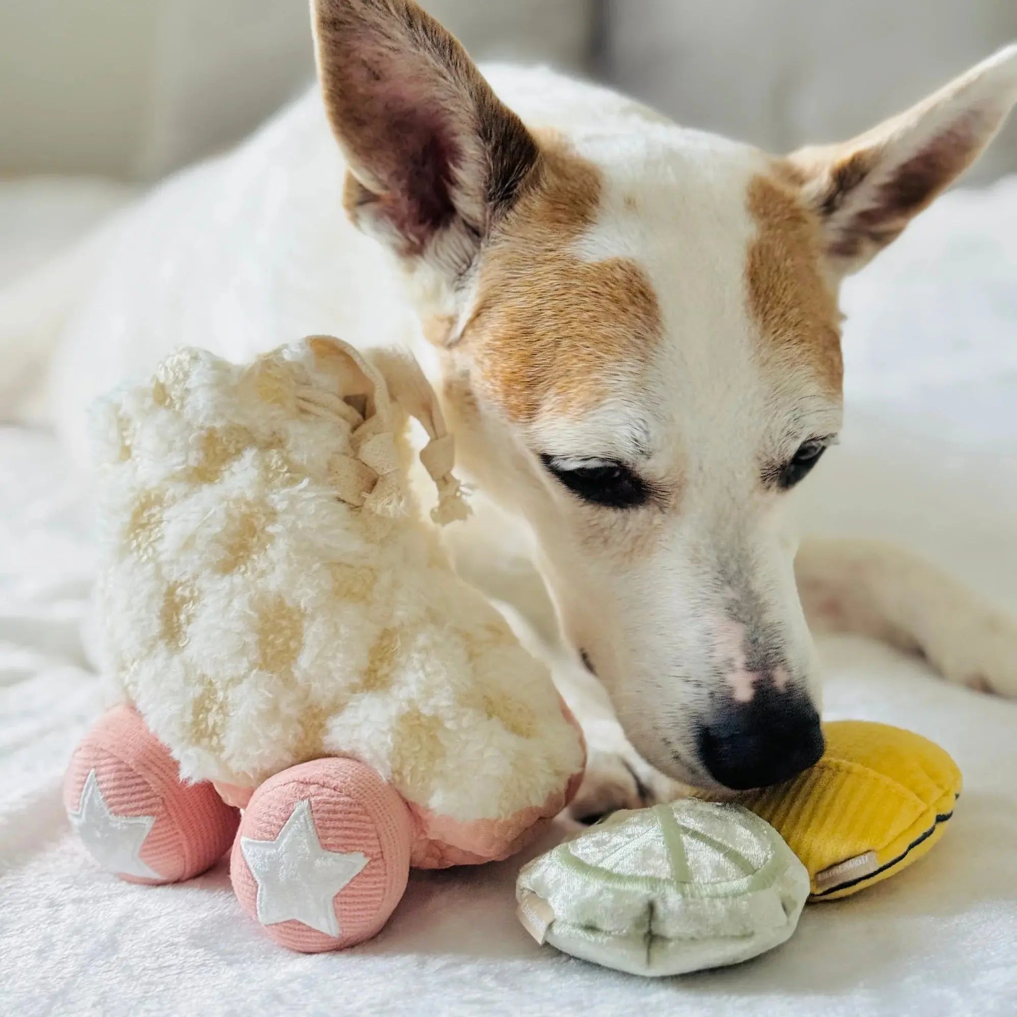 Roller Skate Burrow + Crinkle