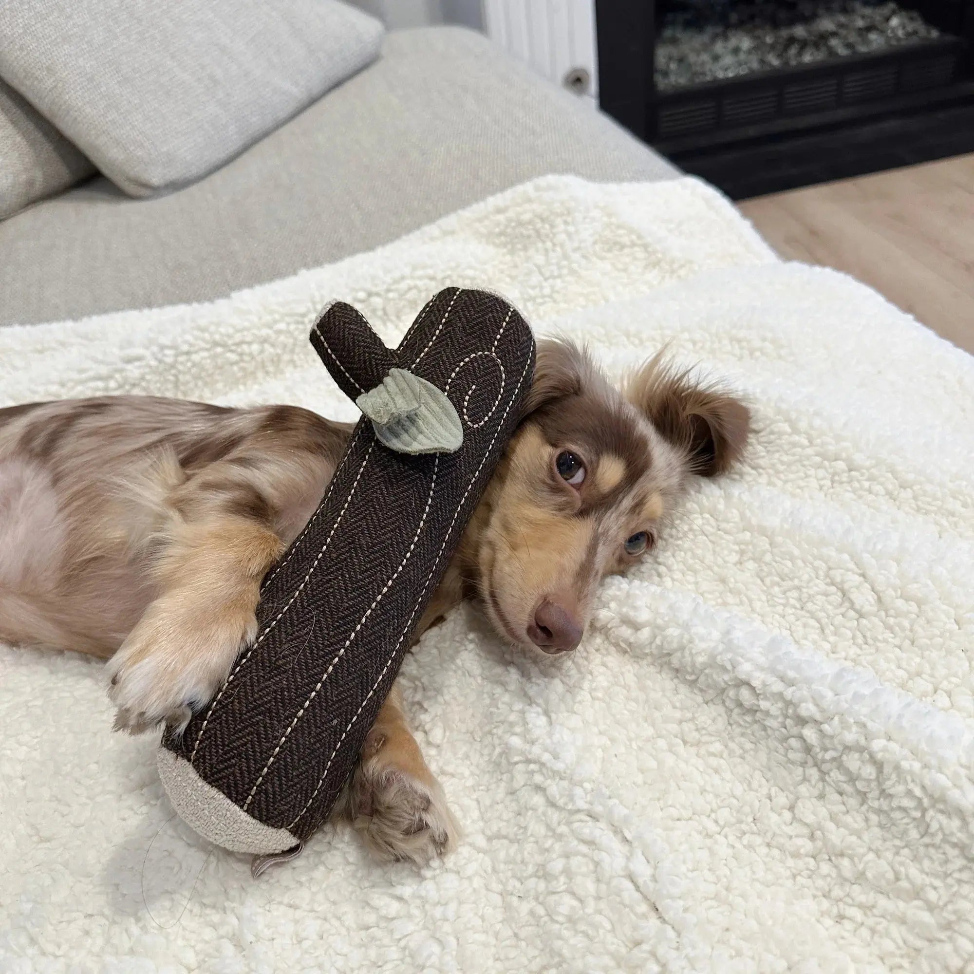 FIRE LOG SQUEAKY