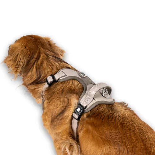 Max&Molly Sport Harness Matrix 2.0 Sand - szelki regulowane dla psa, z identyfikatorem QR, piaskowy beż Max&Molly