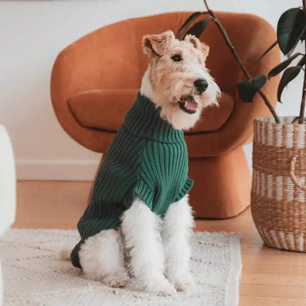 Sweter z dzianiny FuzzYard Life Mirtowa Zielen S5 FuzzYard