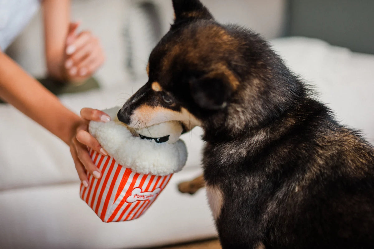 Zabawka dla psa P.L.A.Y. Popcorn