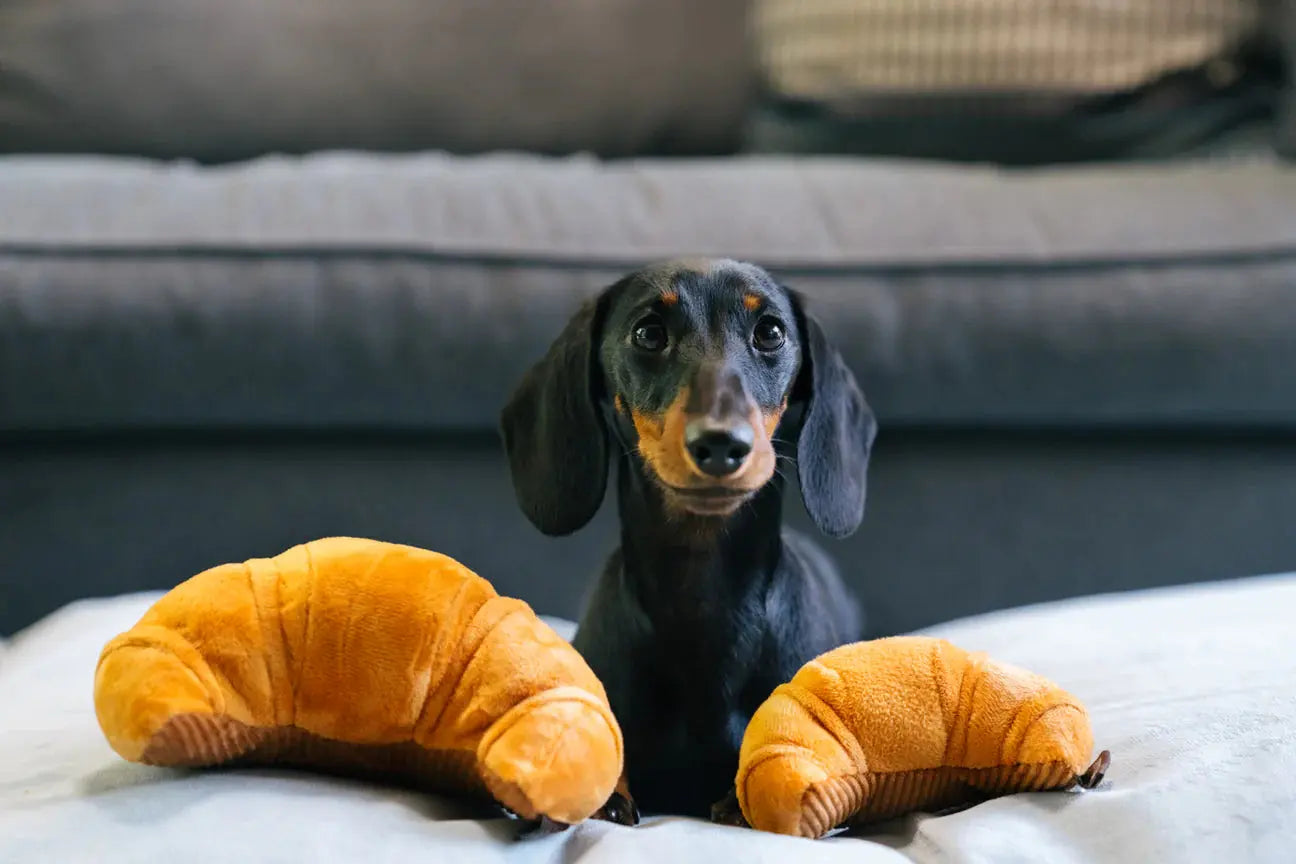 Zabawka dla psa P.L.A.Y. Croissant Small P.L.A.Y
