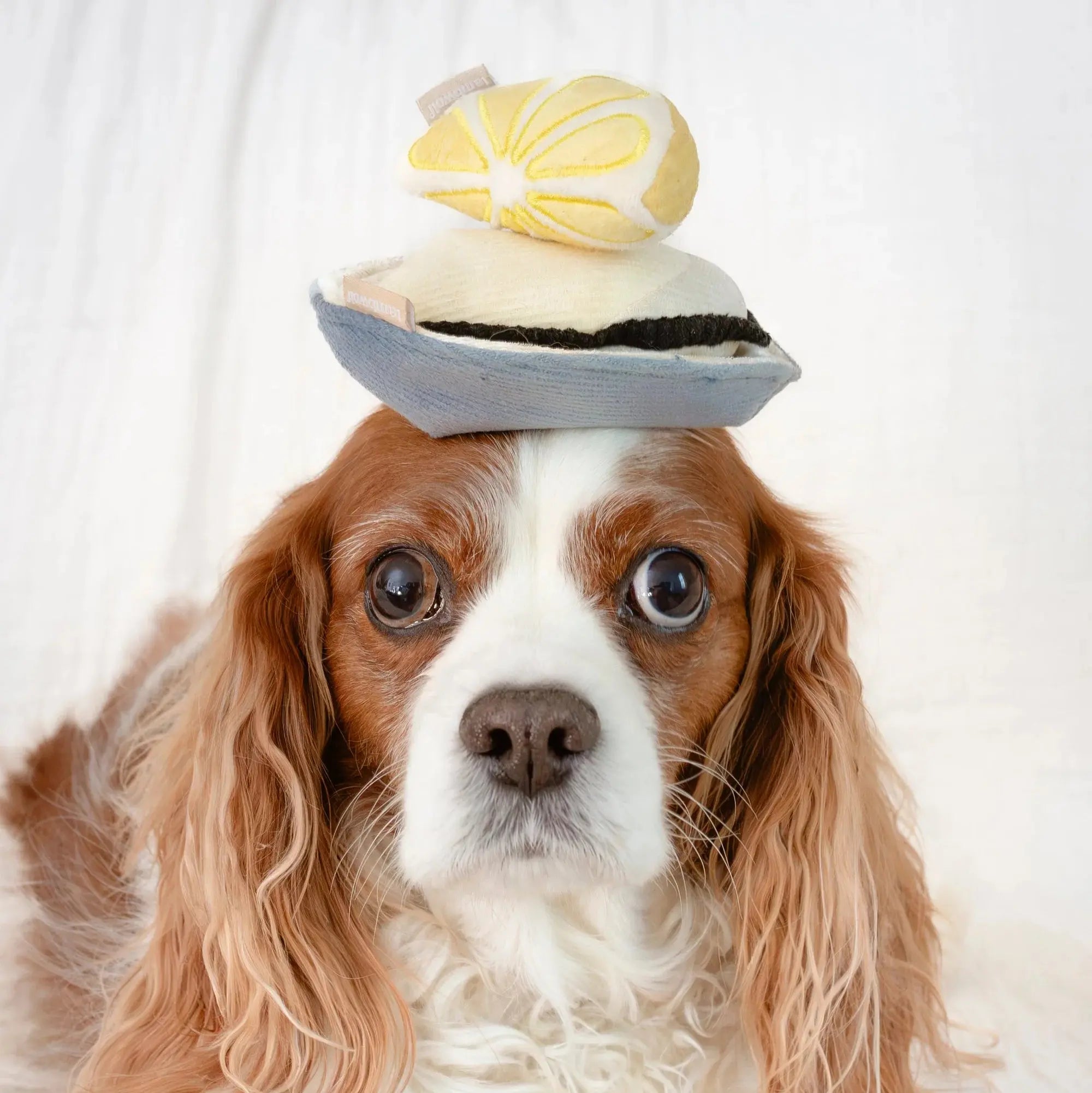 Lambwolf Collective - Zabawka węchowa dla psa GILLARDEAU (beginner-friendly)