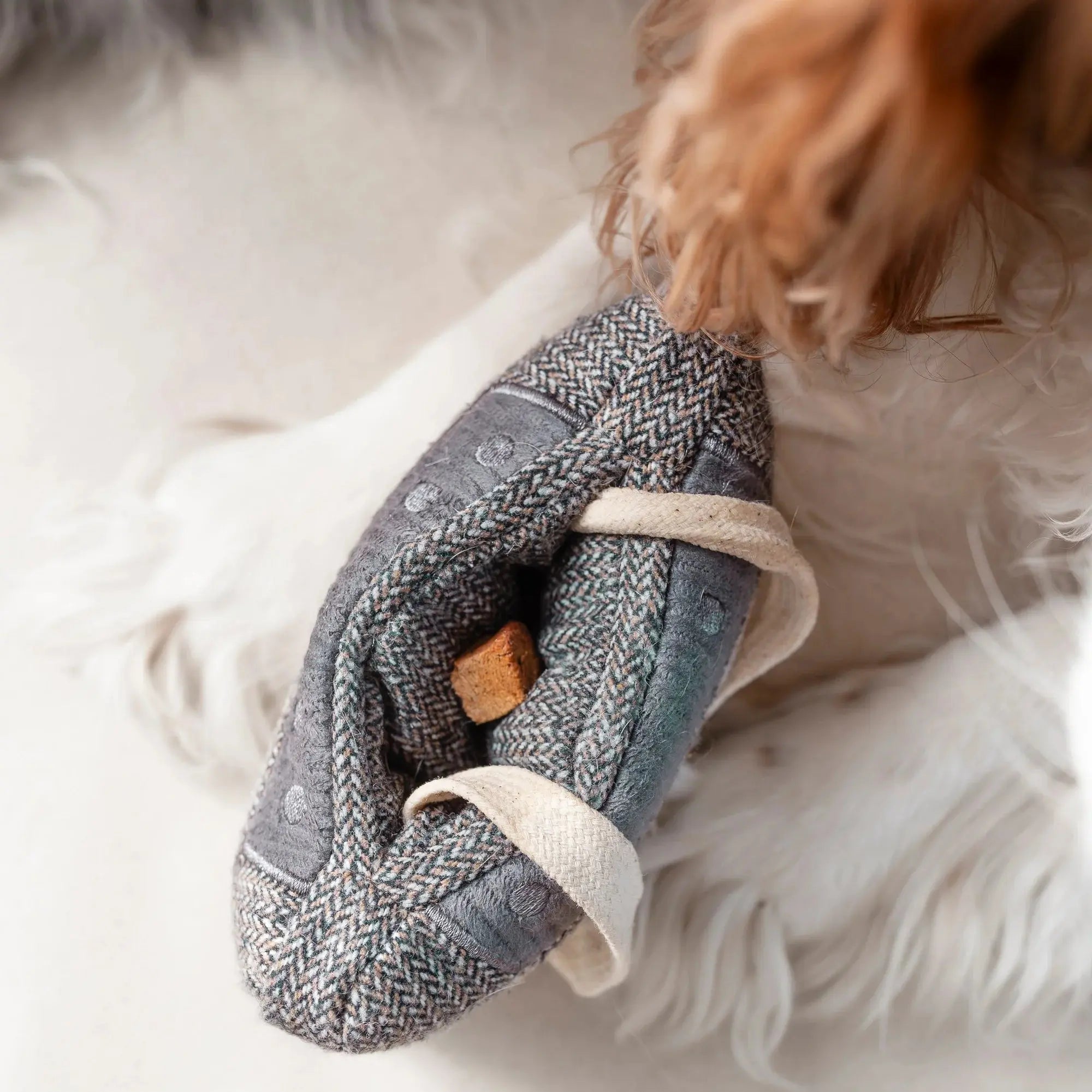 CASSETTE snuffle + squeaky